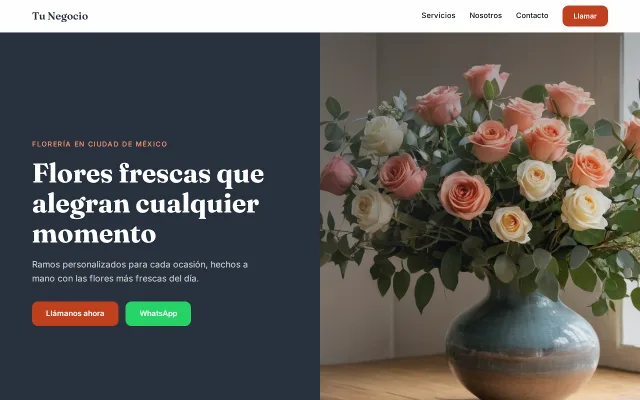 Vista previa de Opción B para Tu Negocio