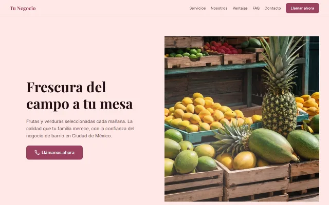 Vista previa de Opción B para Tu Negocio