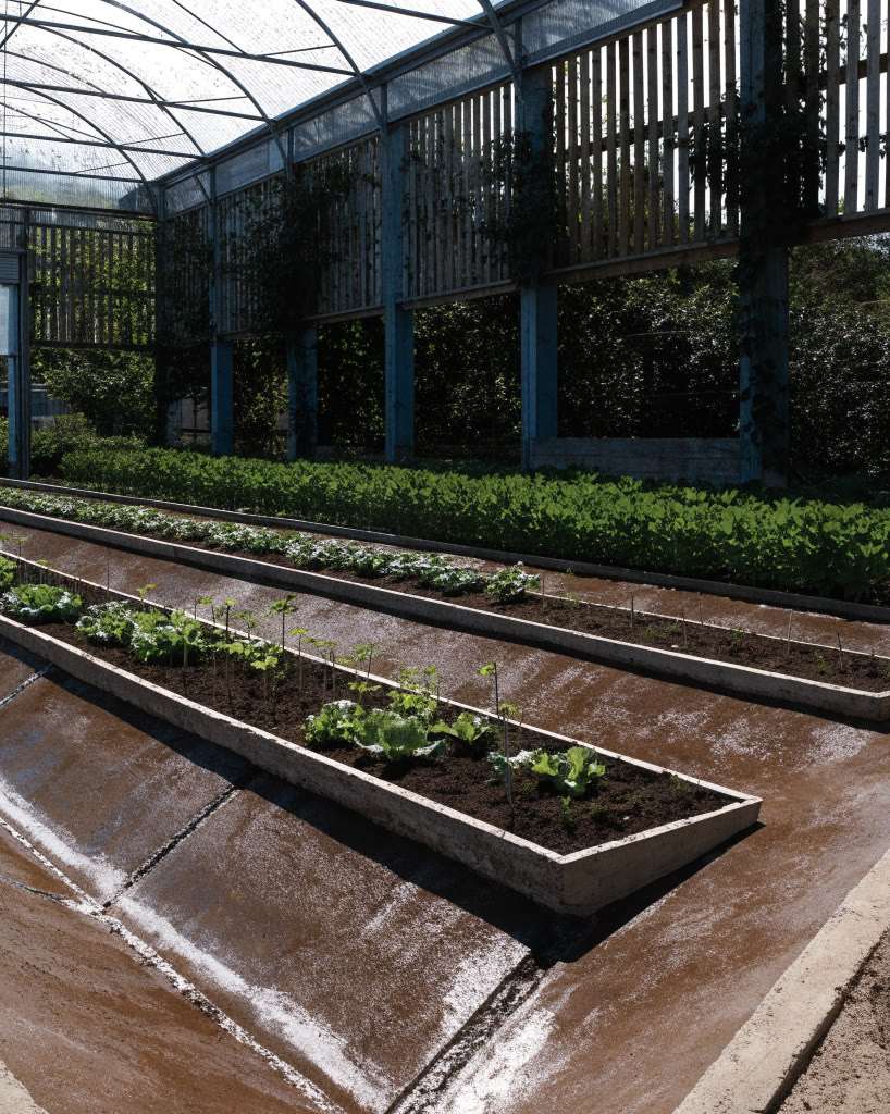 Canal de drenaje y camas de cultivo