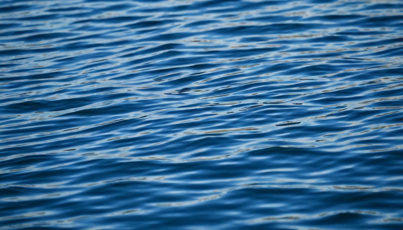 Ondas del agua y juncos mojados en la orilla al anochecer