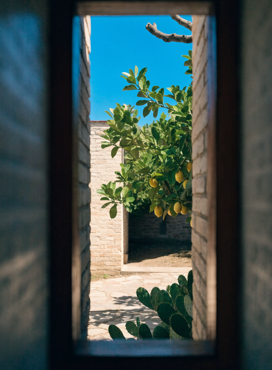 Ventana pequeña y limpia hacia un patio con limonero